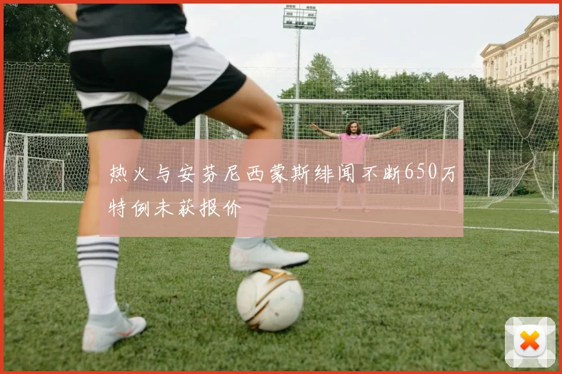 热火与安芬尼西蒙斯绯闻不断650万特例未获报价