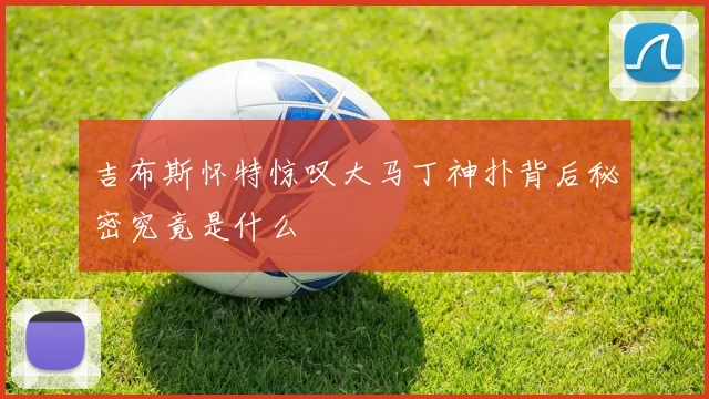 吉布斯怀特惊叹大马丁神扑背后秘密究竟是什么
